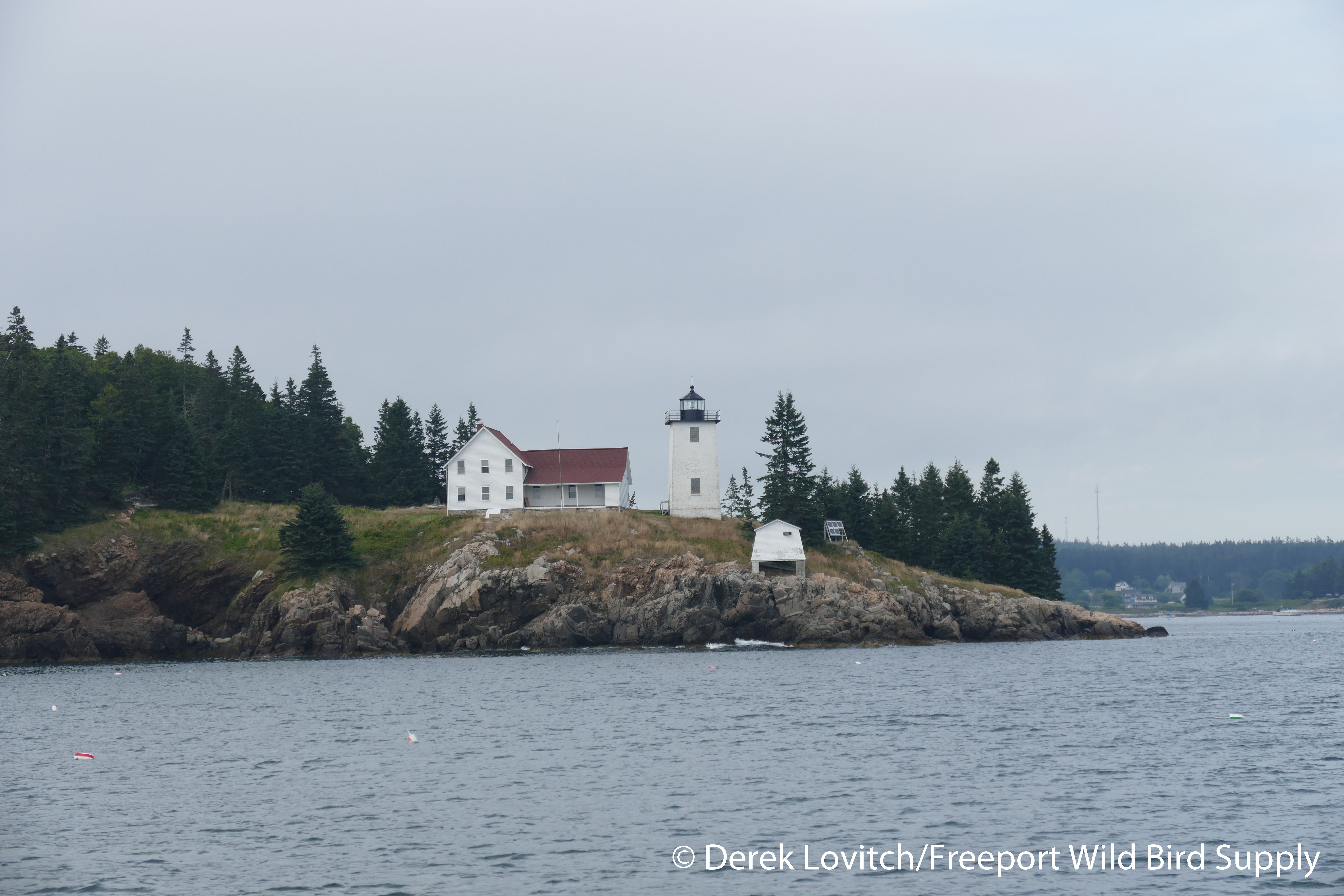 2. Entering Fox Islands Thorofare_edited-1