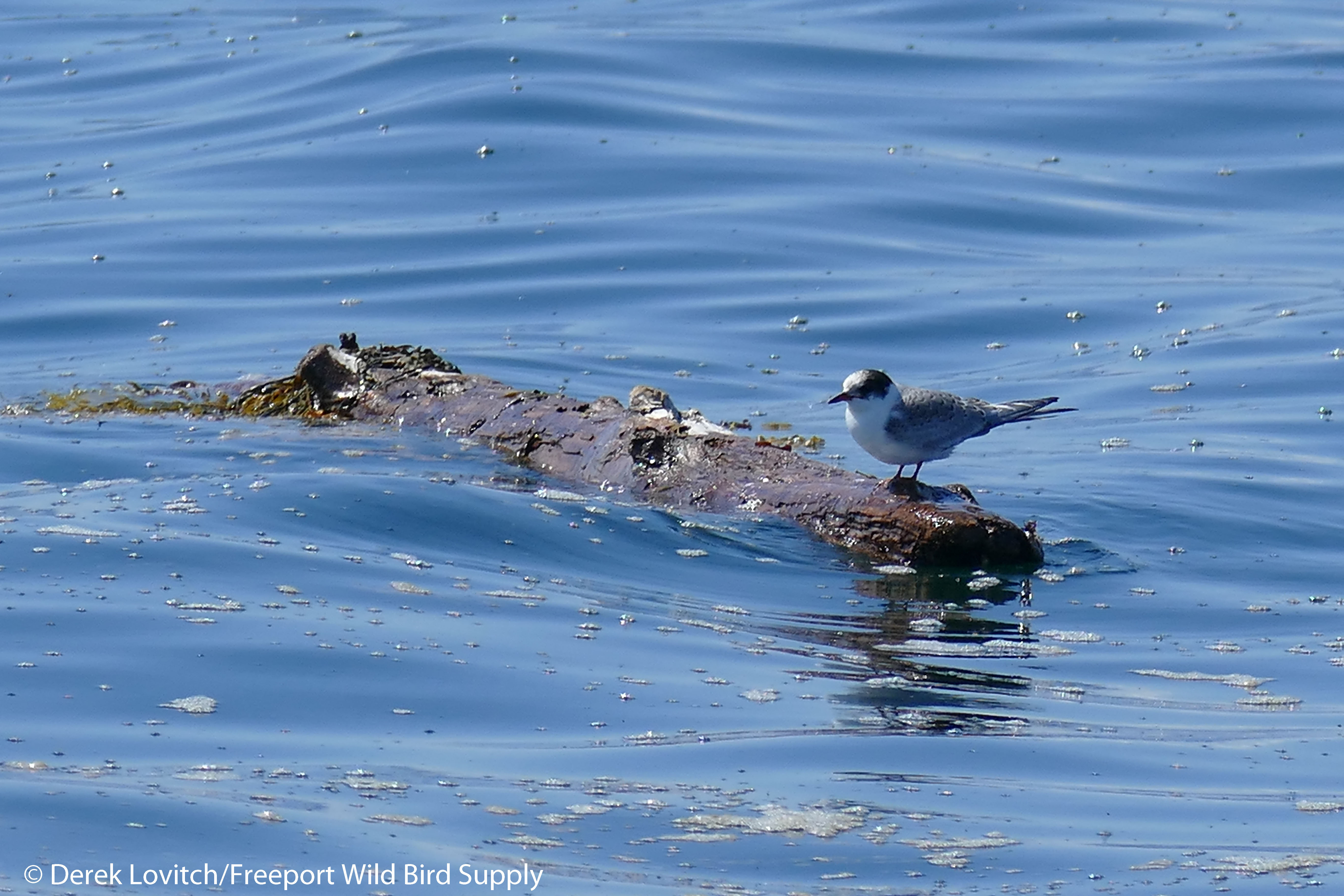 21. juvARTE1_edited-1