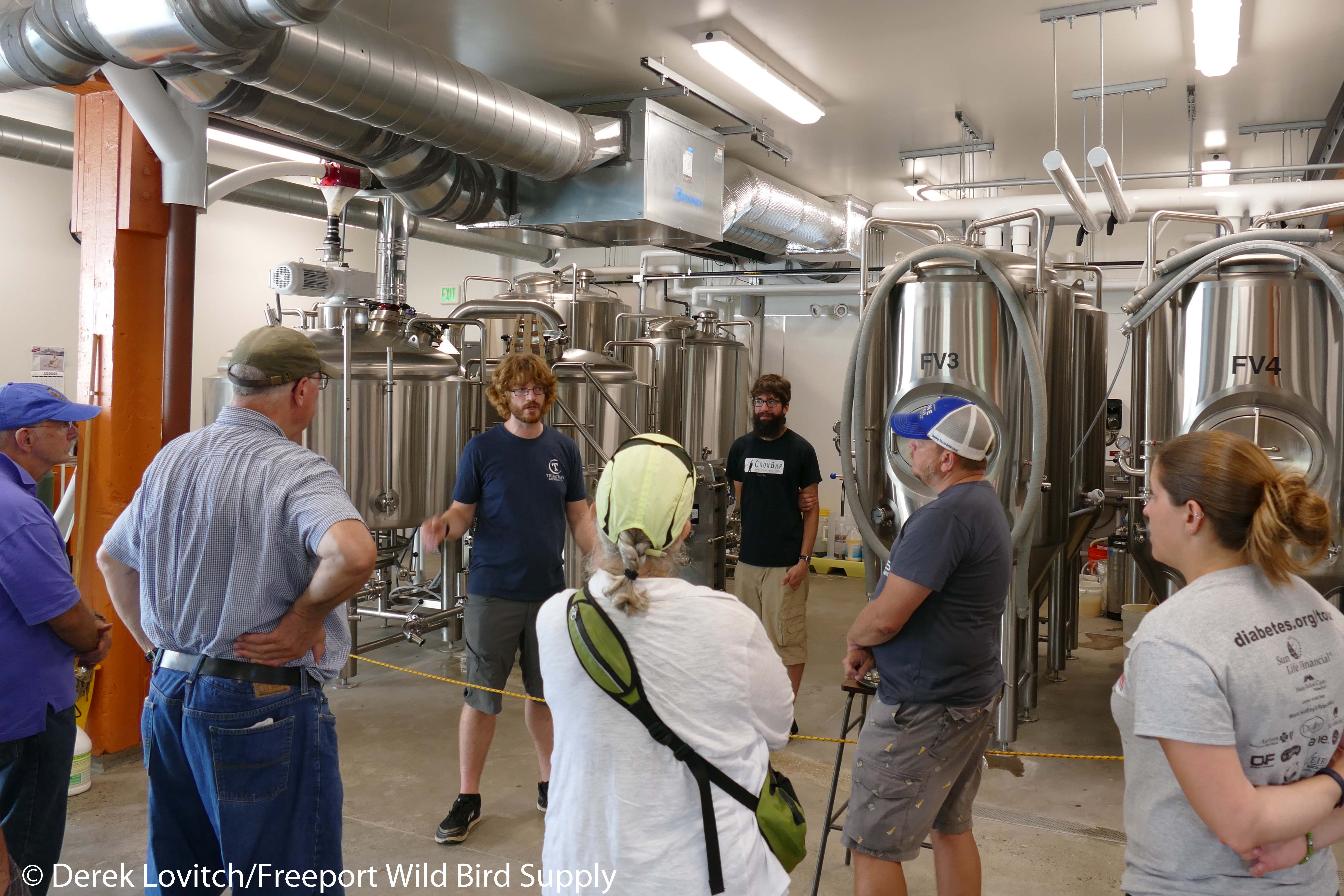 25. Foulmouthed3_edited-1