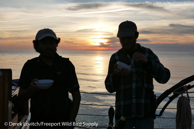 25. Seal Crew visits2_edited-1