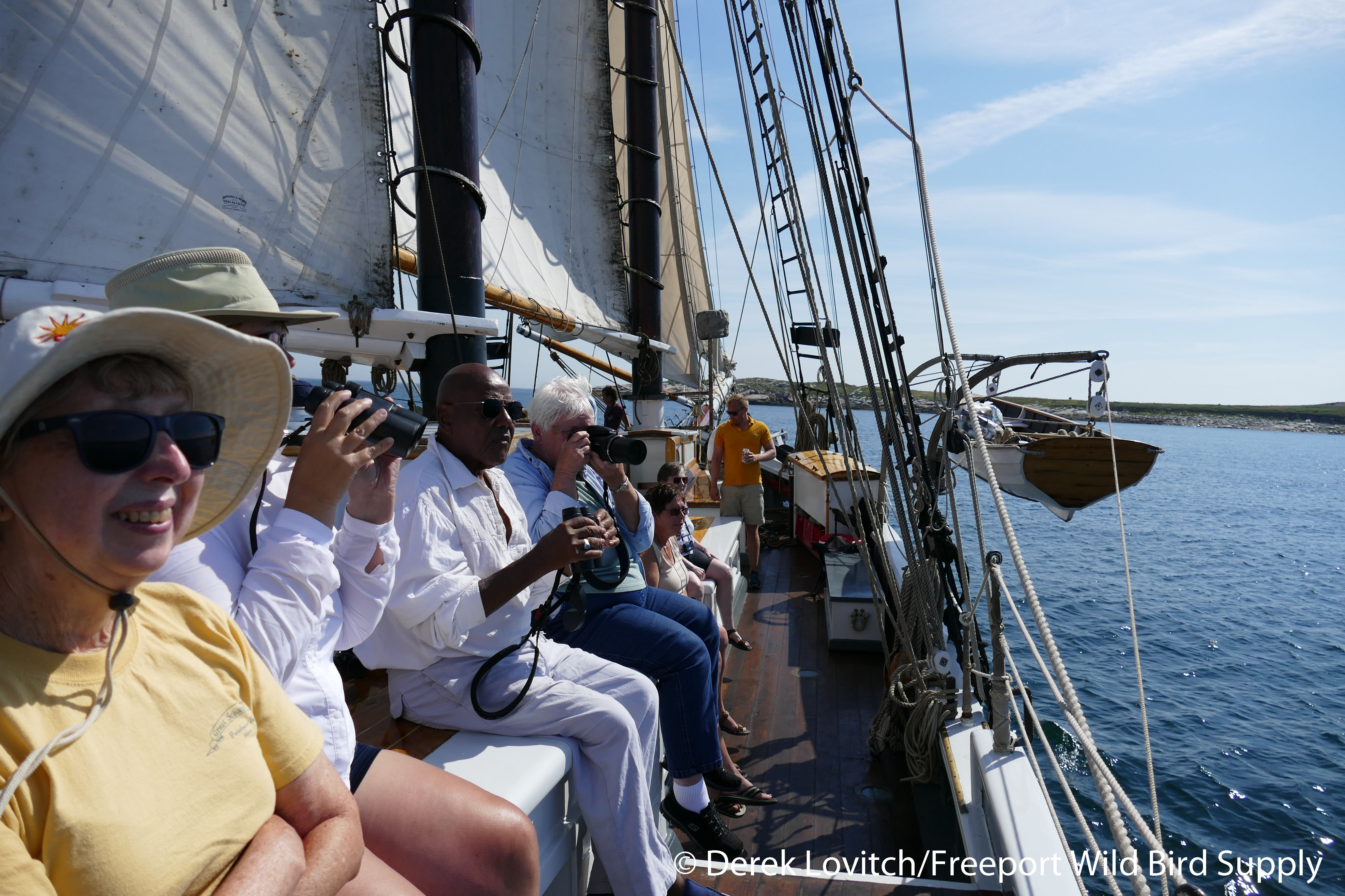 28. Seal Day 2_edited-1