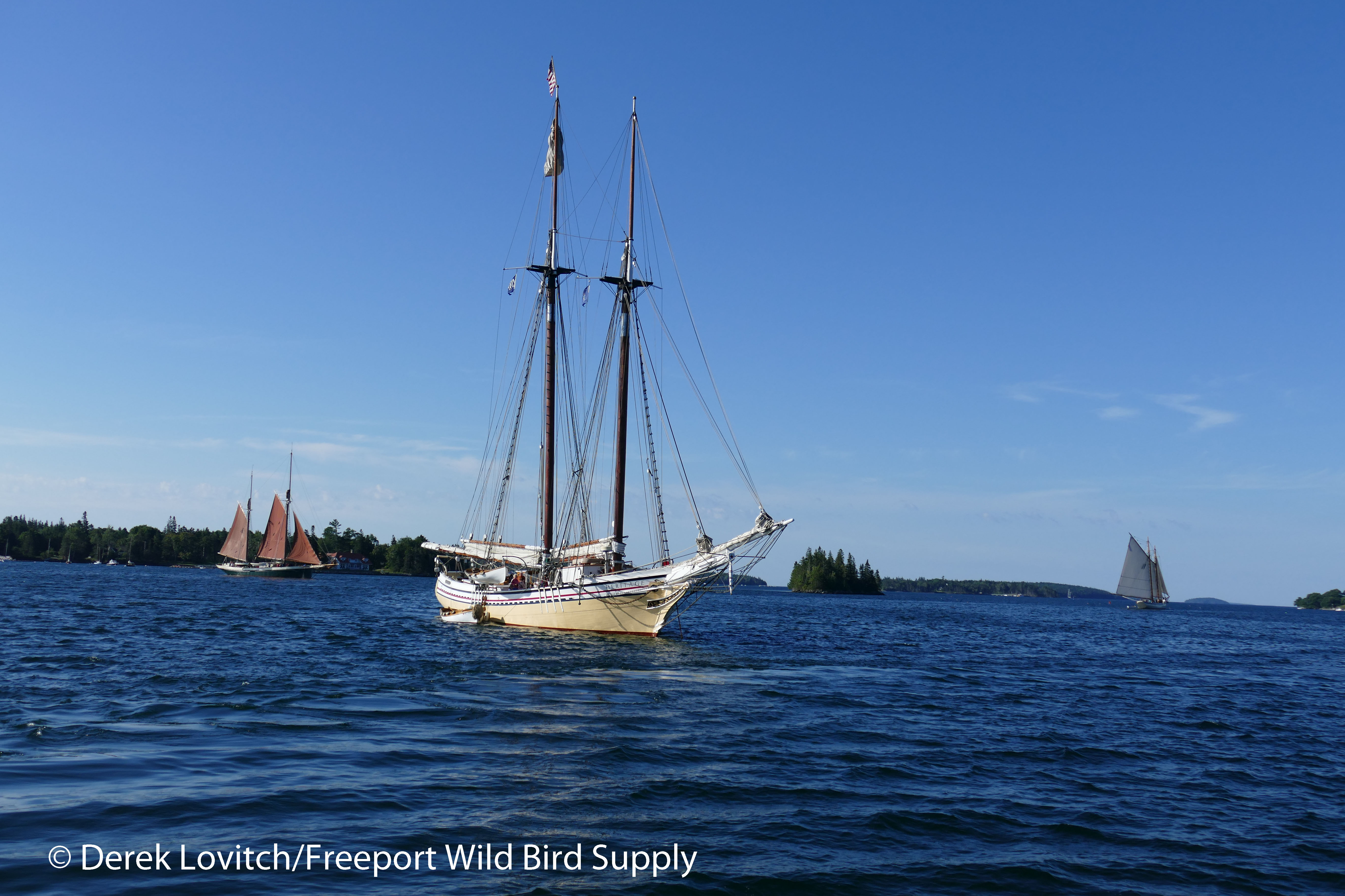 33. last morning1_edited-1