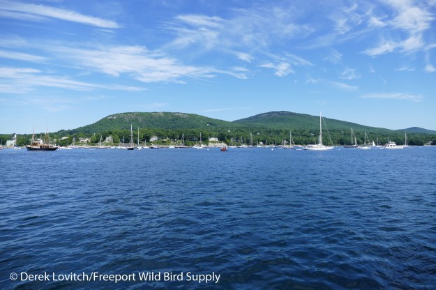 33A. entering Camden2_edited-1