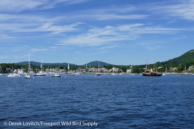 34. entering Camden1_edited-1