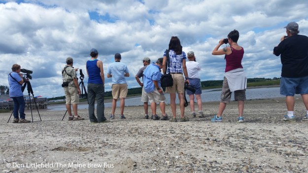 5. from_Don3_edited-1