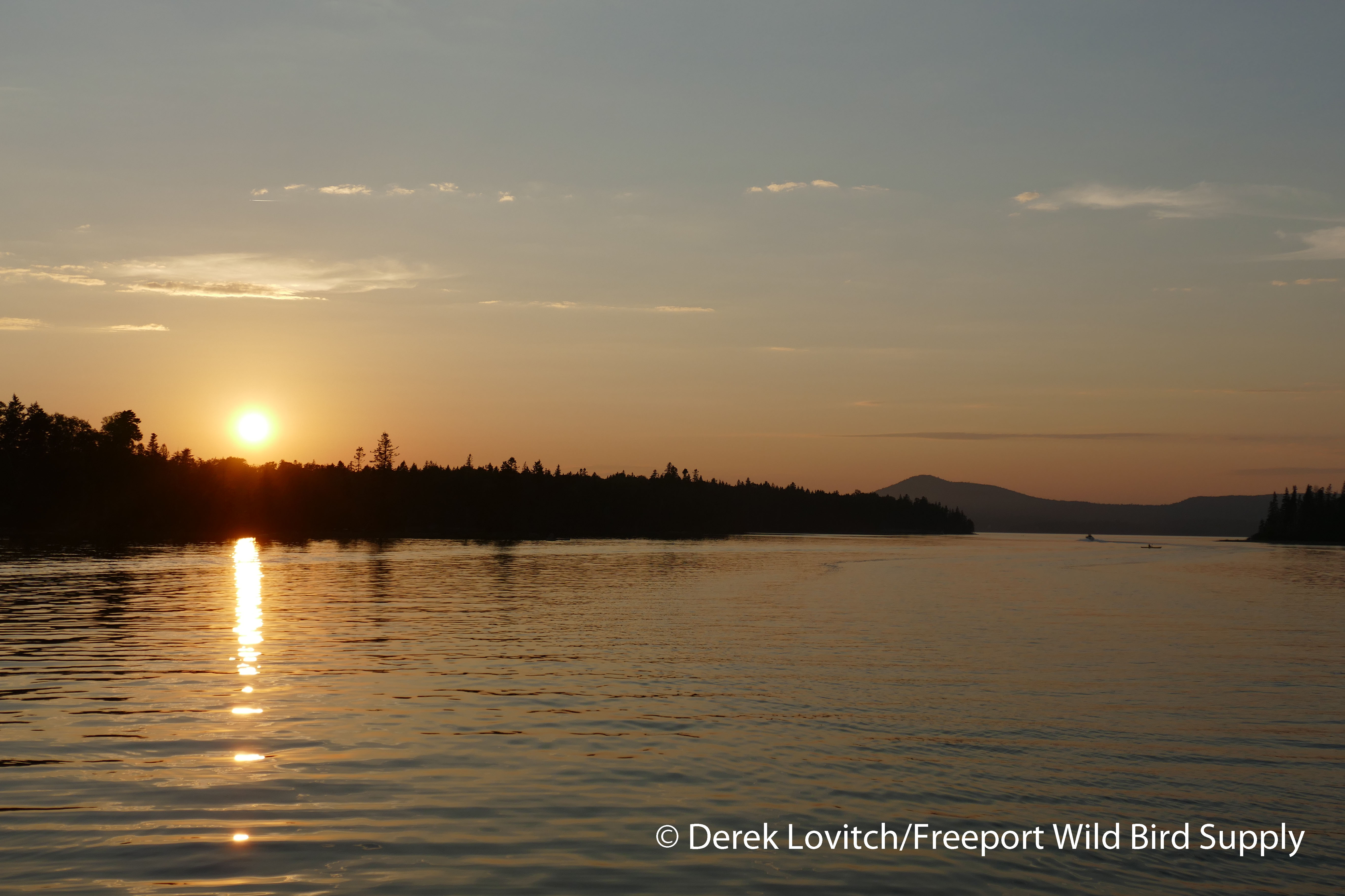 61. last sunset_edited-1