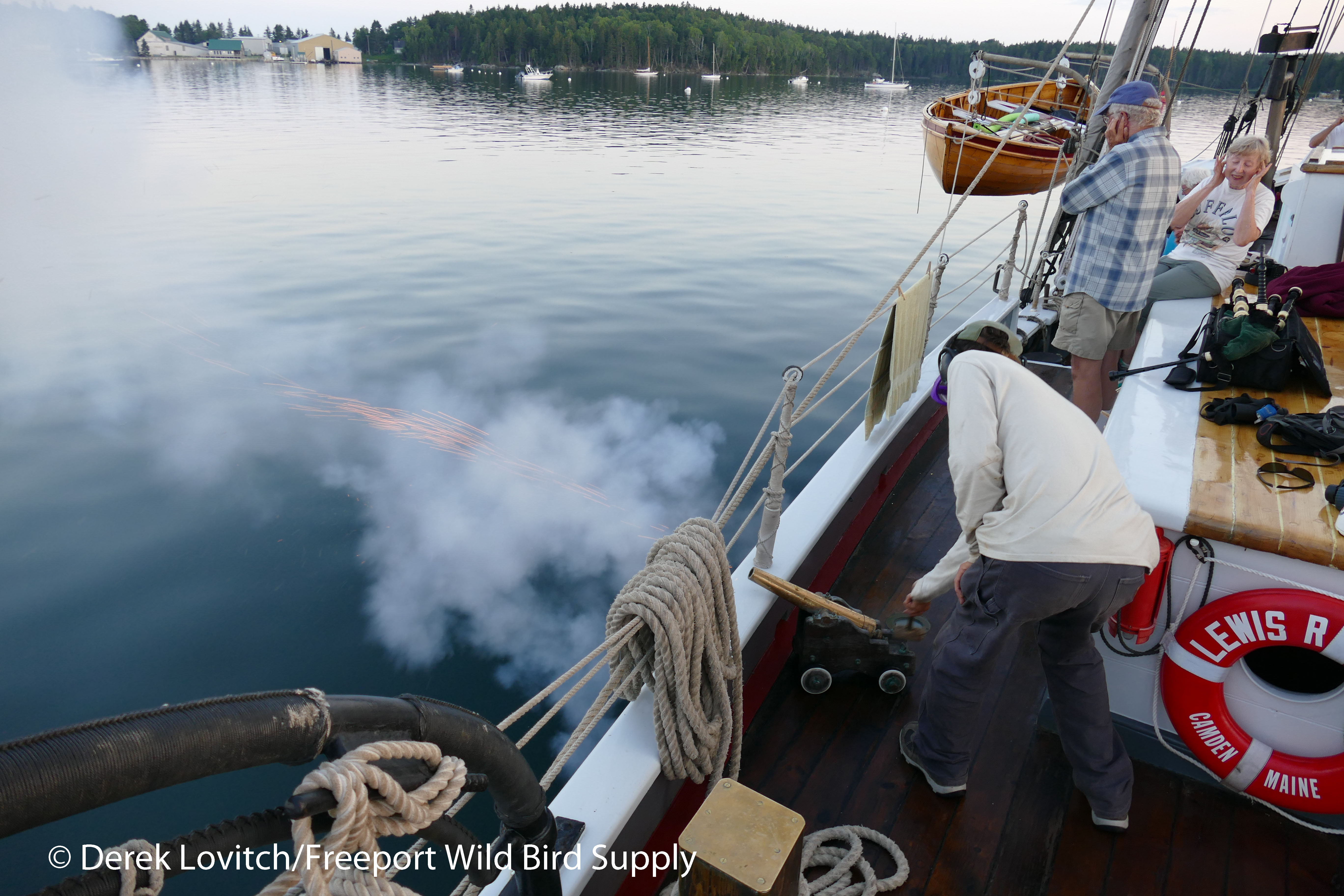 64. cannon2_edited-1