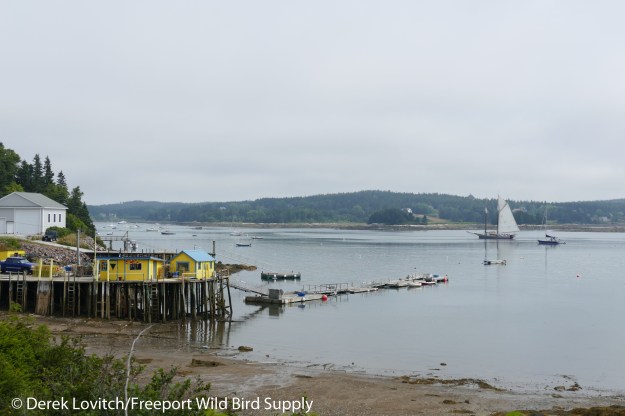 9. Burnt Coat Harbor -later_edited-1