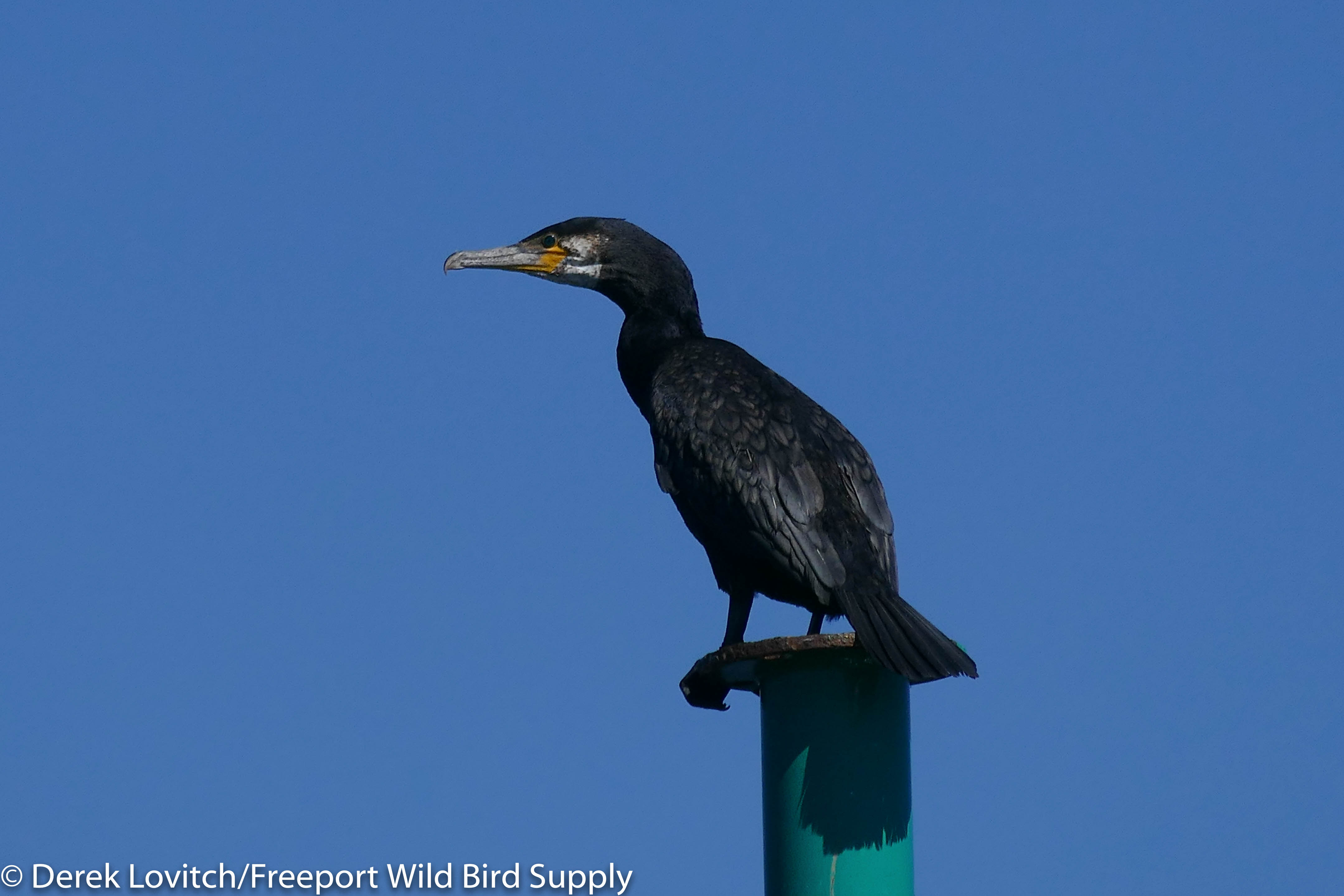 25. boat trip 16 - GRCO2