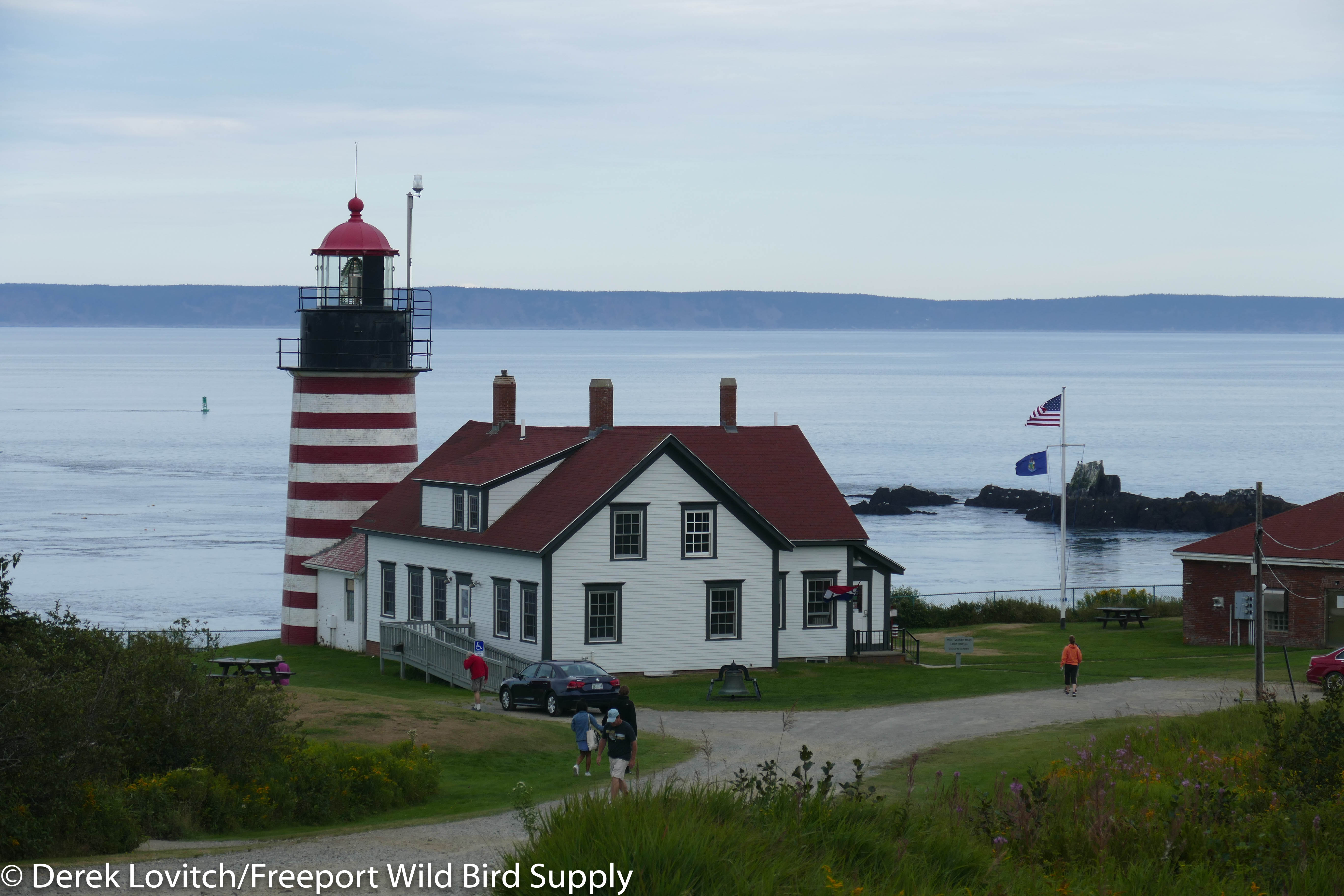 35. Quoddy SP