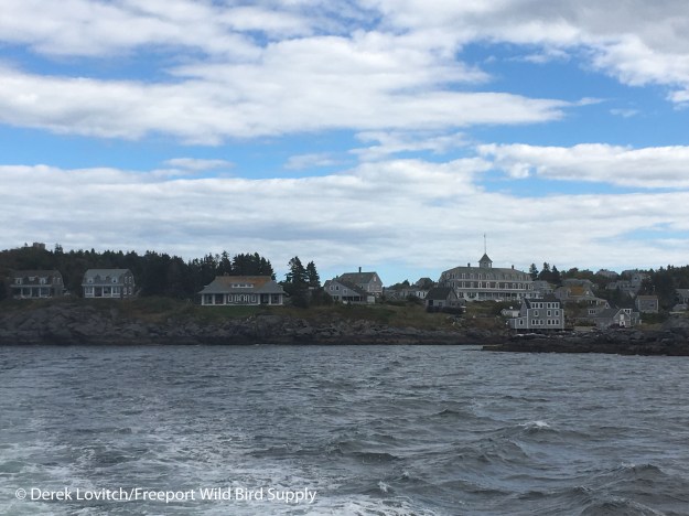 departing_monhegan9-24_edited-1
