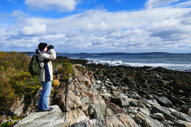 peaks_shoreline10-23-16_edited-1