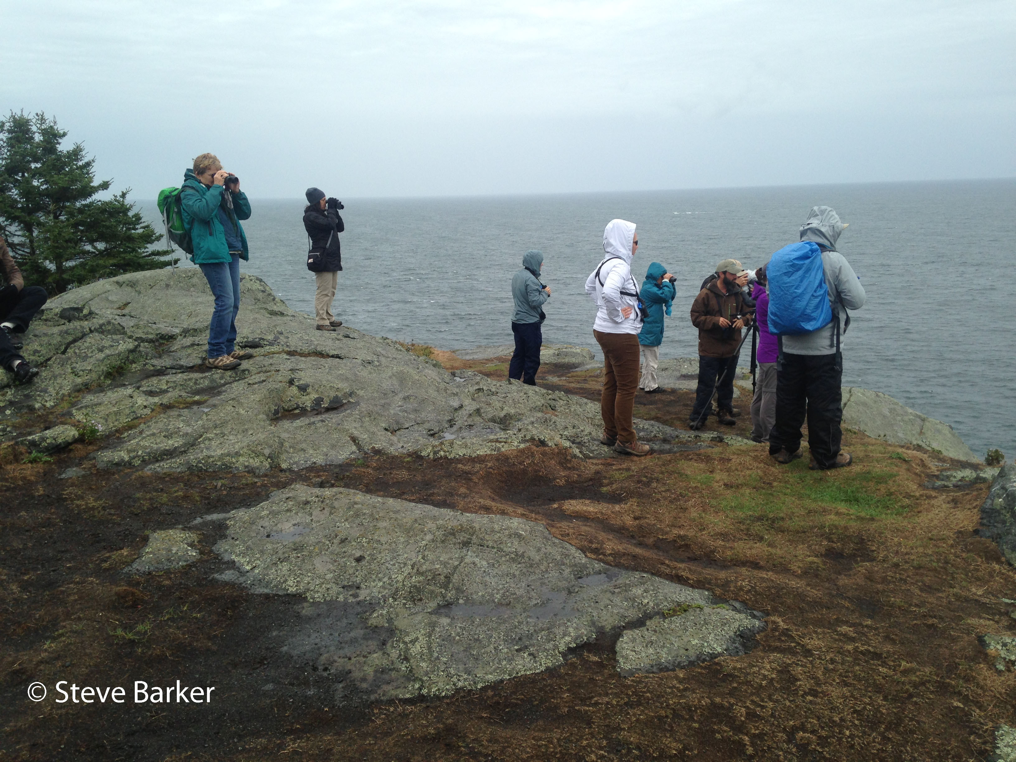 seawatching_from_steveb_edited-2