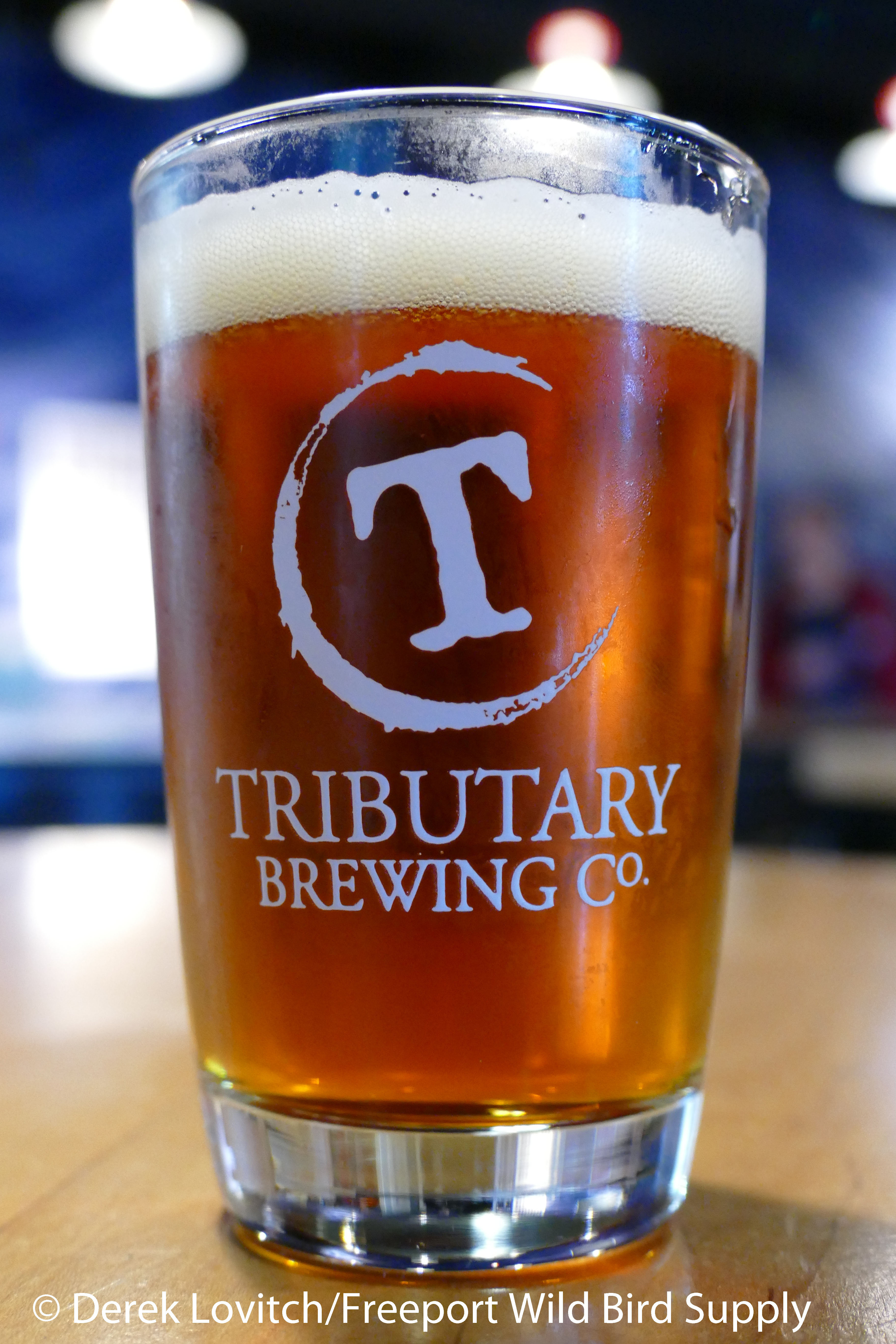 tributary_oktoberfest_glass_edited-1