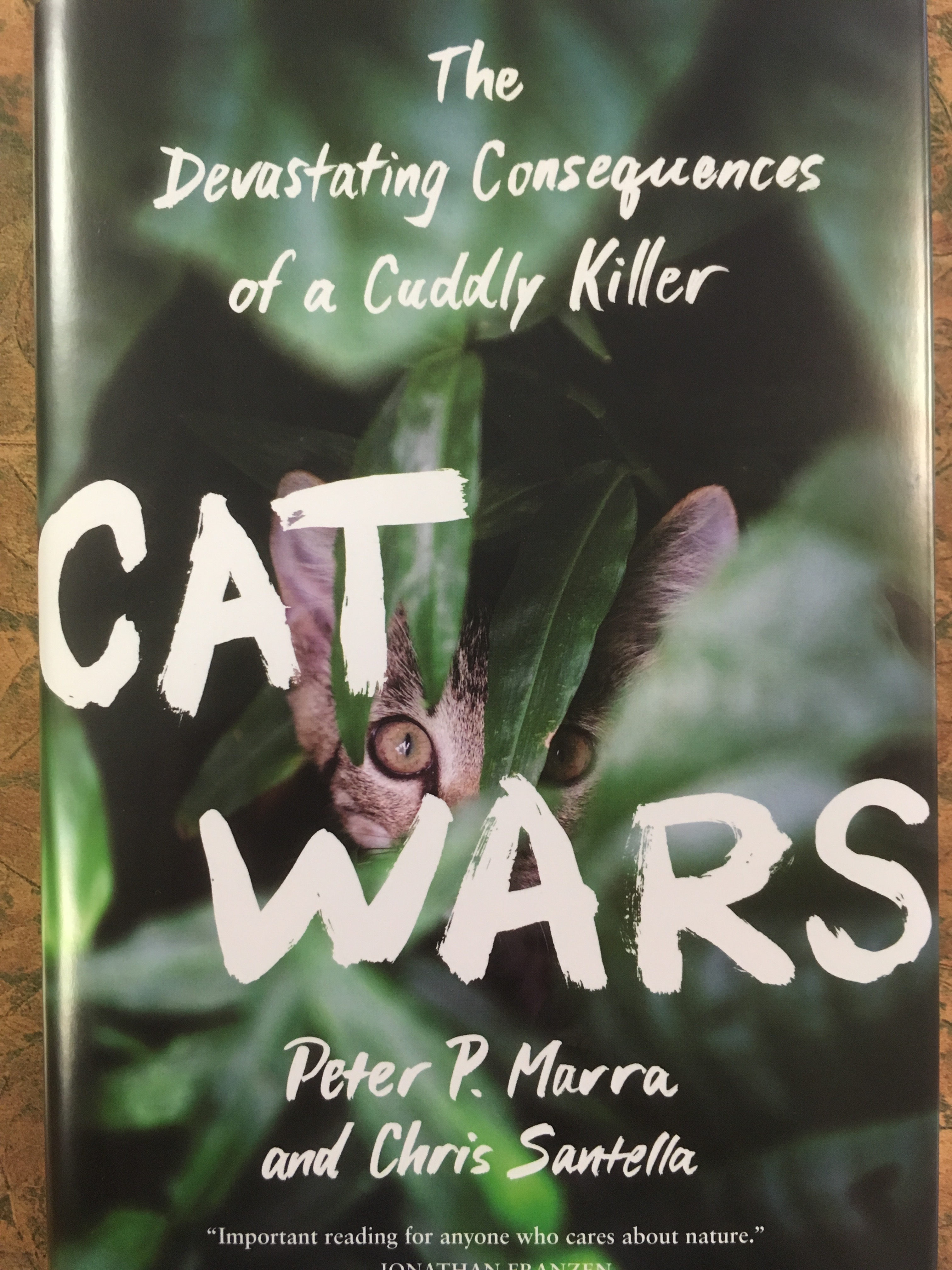cat-wars-cover