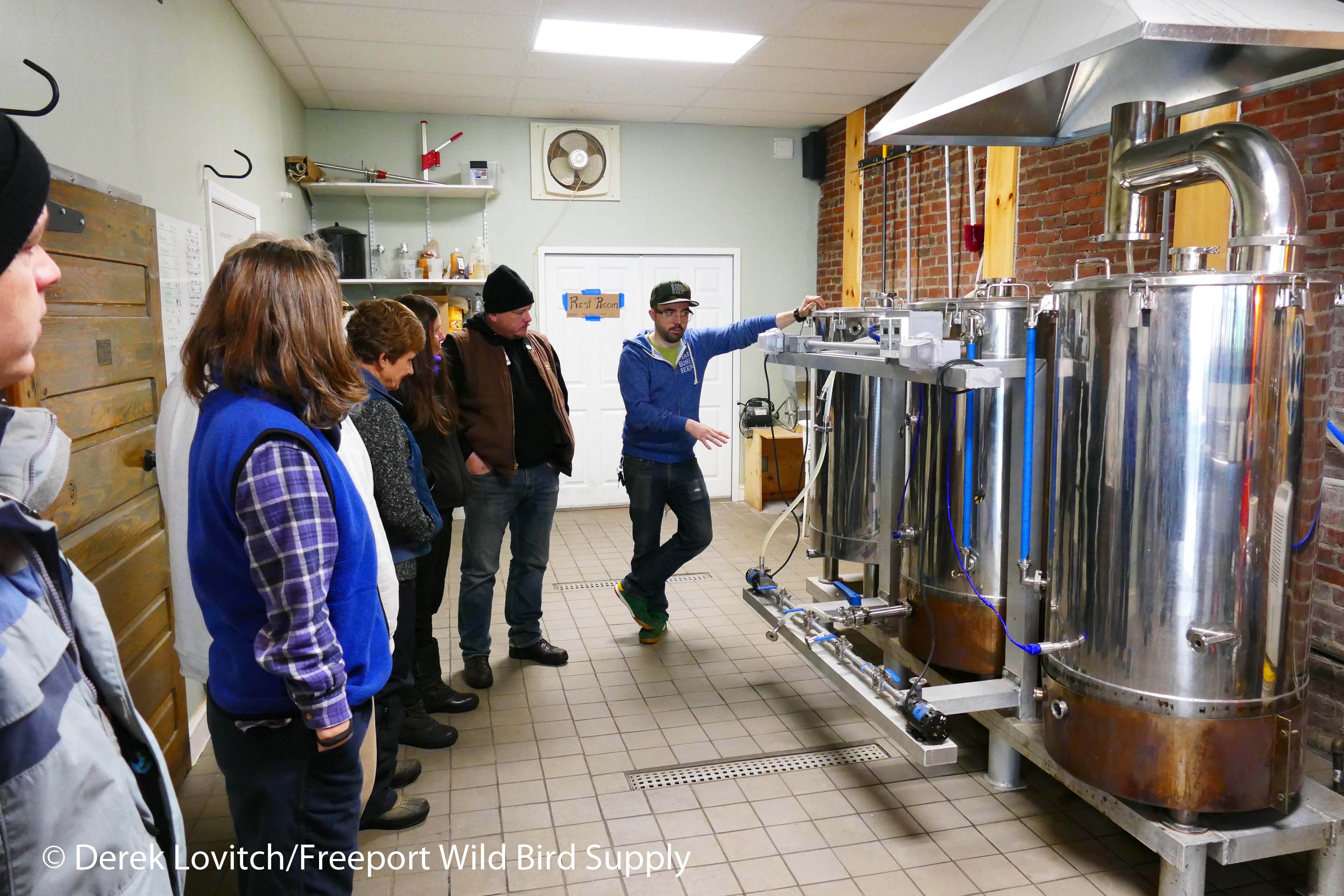 bear_bones3_edited-1