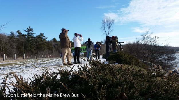 lake-auburn2_edited-1