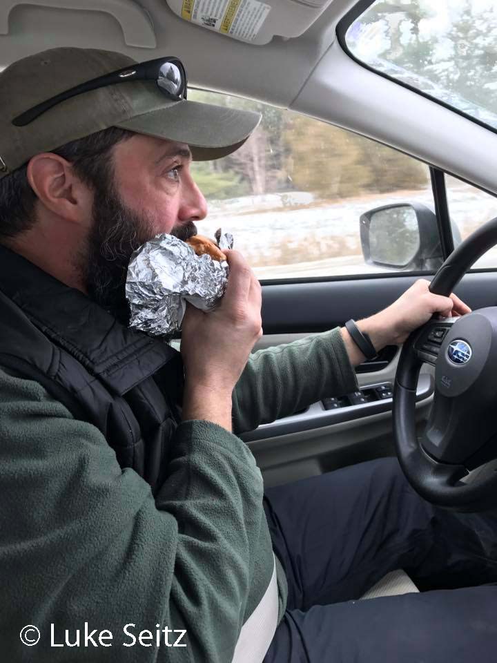 veggie-sandwich_edited-1