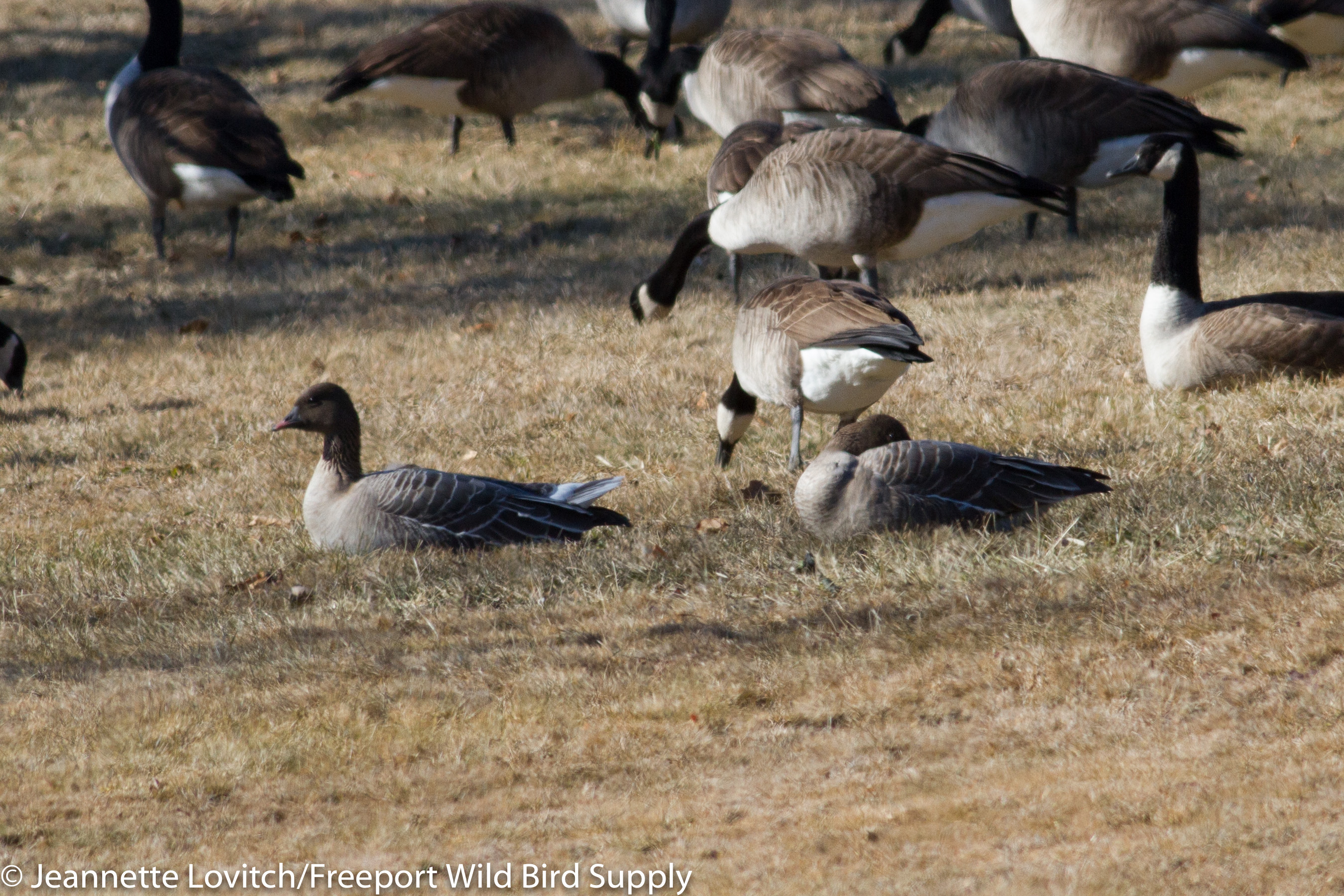 img_3199-edited-edited