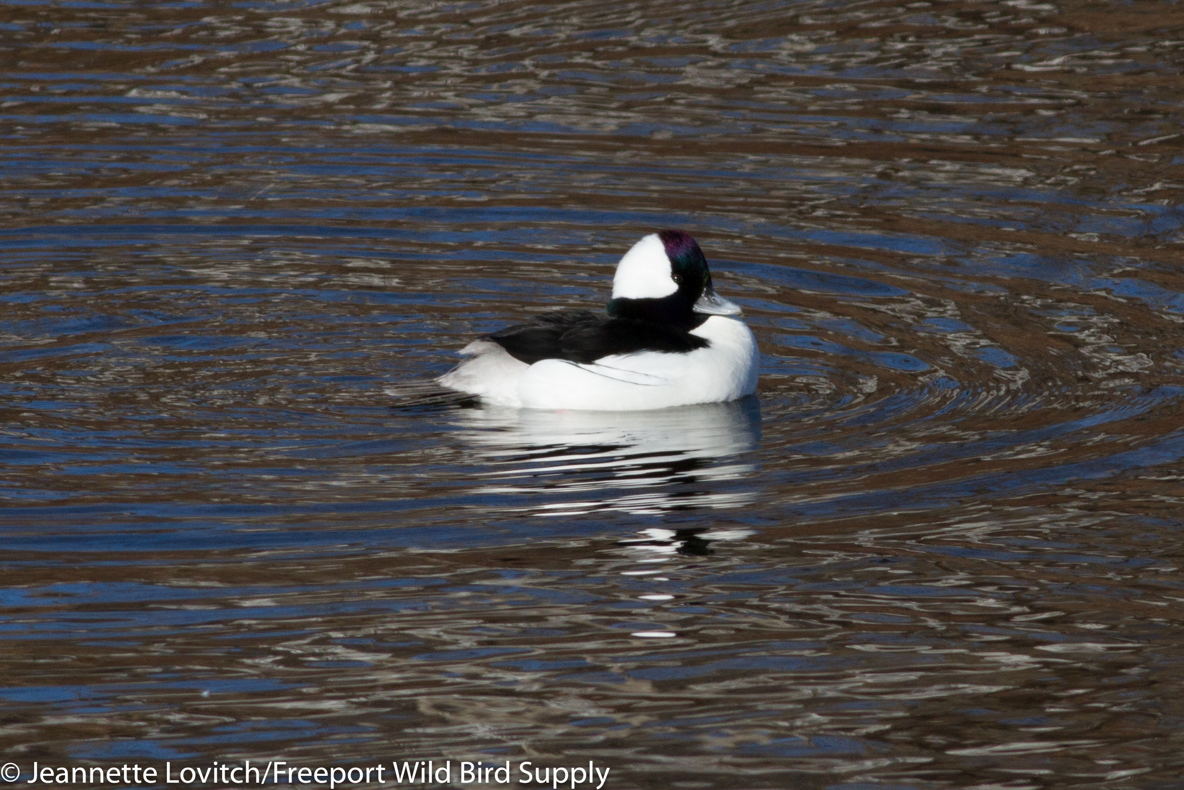 img_3207-edited-edited