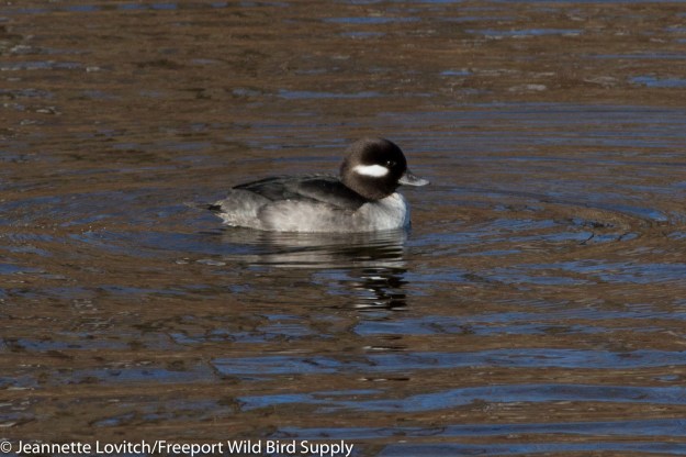 img_3222-edited-edited