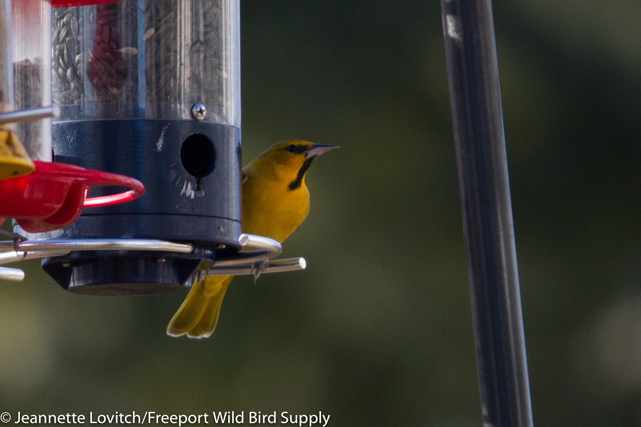 img_3263-edited-edited