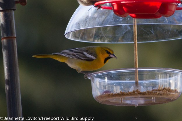 img_3297-edited-edited