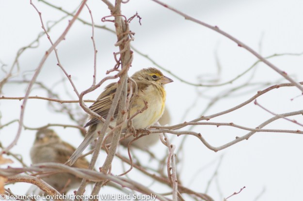 img_3358-edited-edited