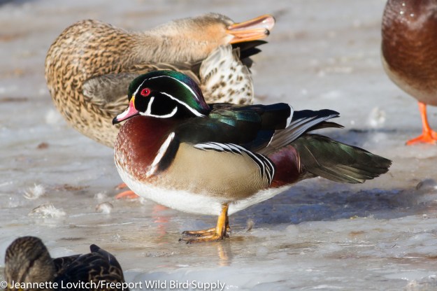 img_3471-edited-edited