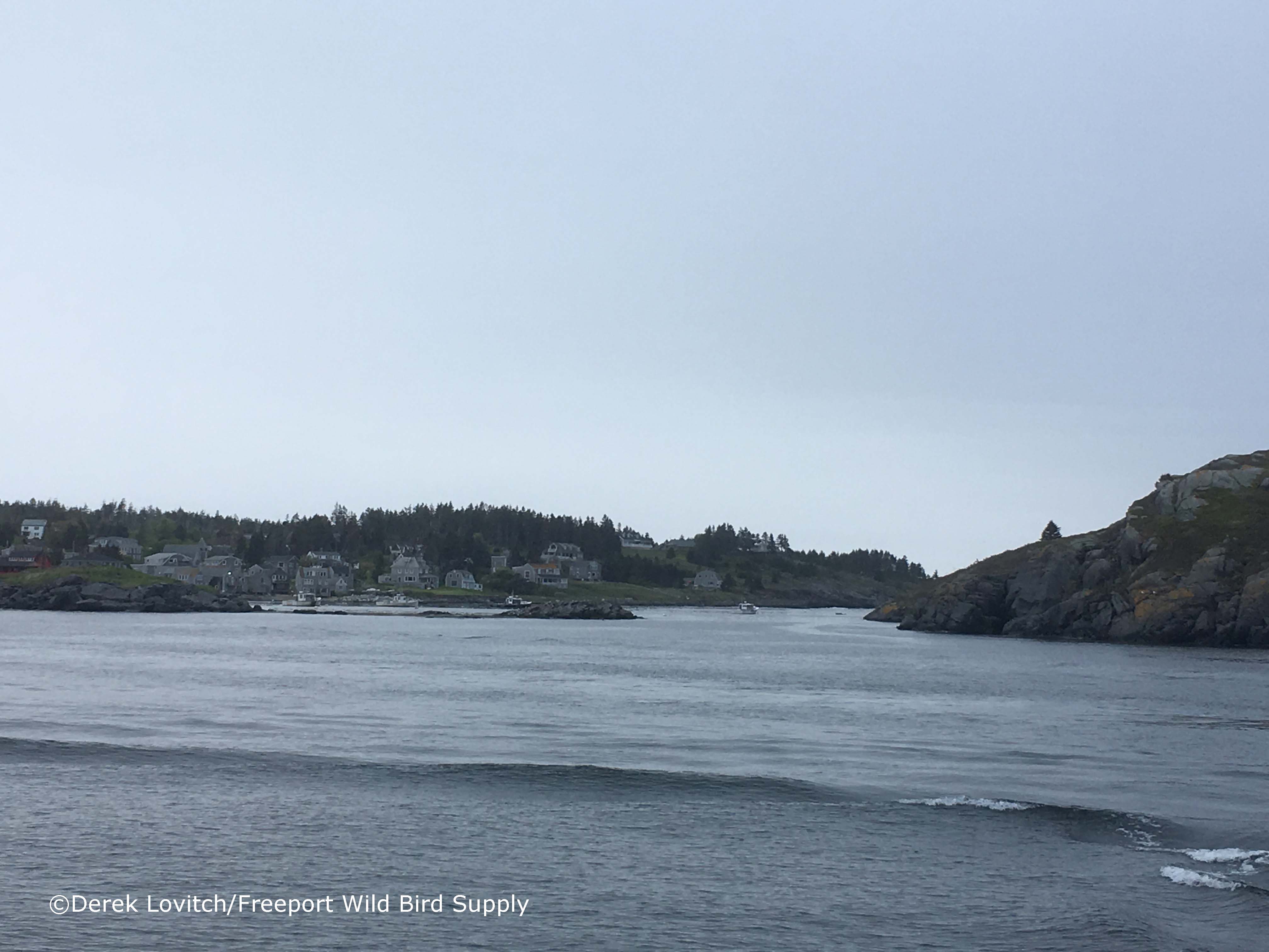 departure,5-30-17_edited-1