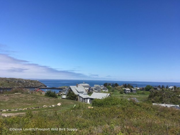 horn_hill,5-30-17_edited-1