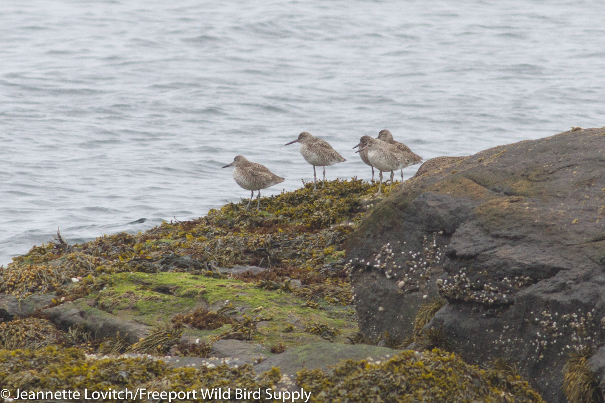 IMG_4562-edited-edited