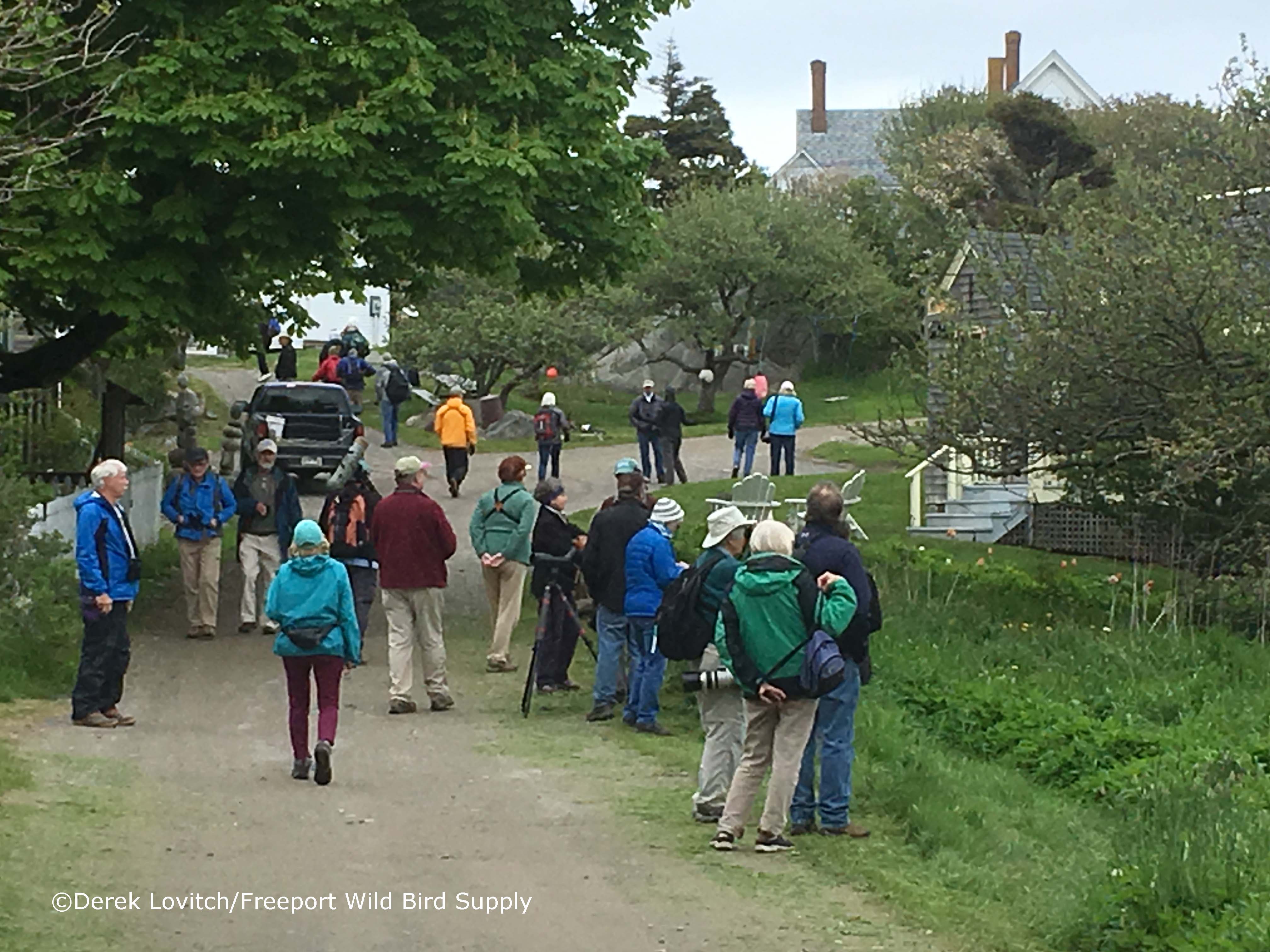 so_many_birders2,Monhegan,5-17-17_edited-1