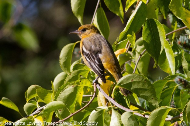 IMG_6856-edited-edited