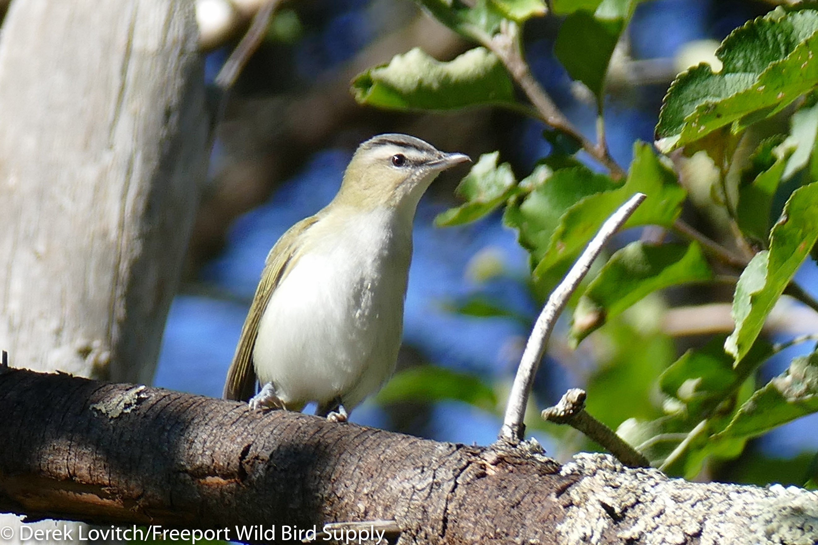 L1100741-edited-edited