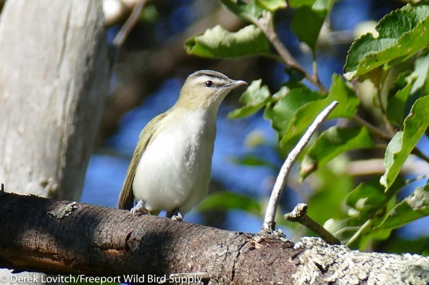 L1100741-edited-edited