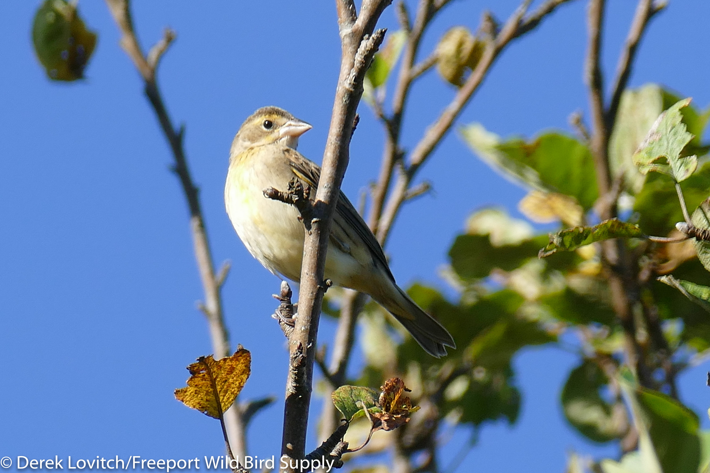 L1100783-edited-edited