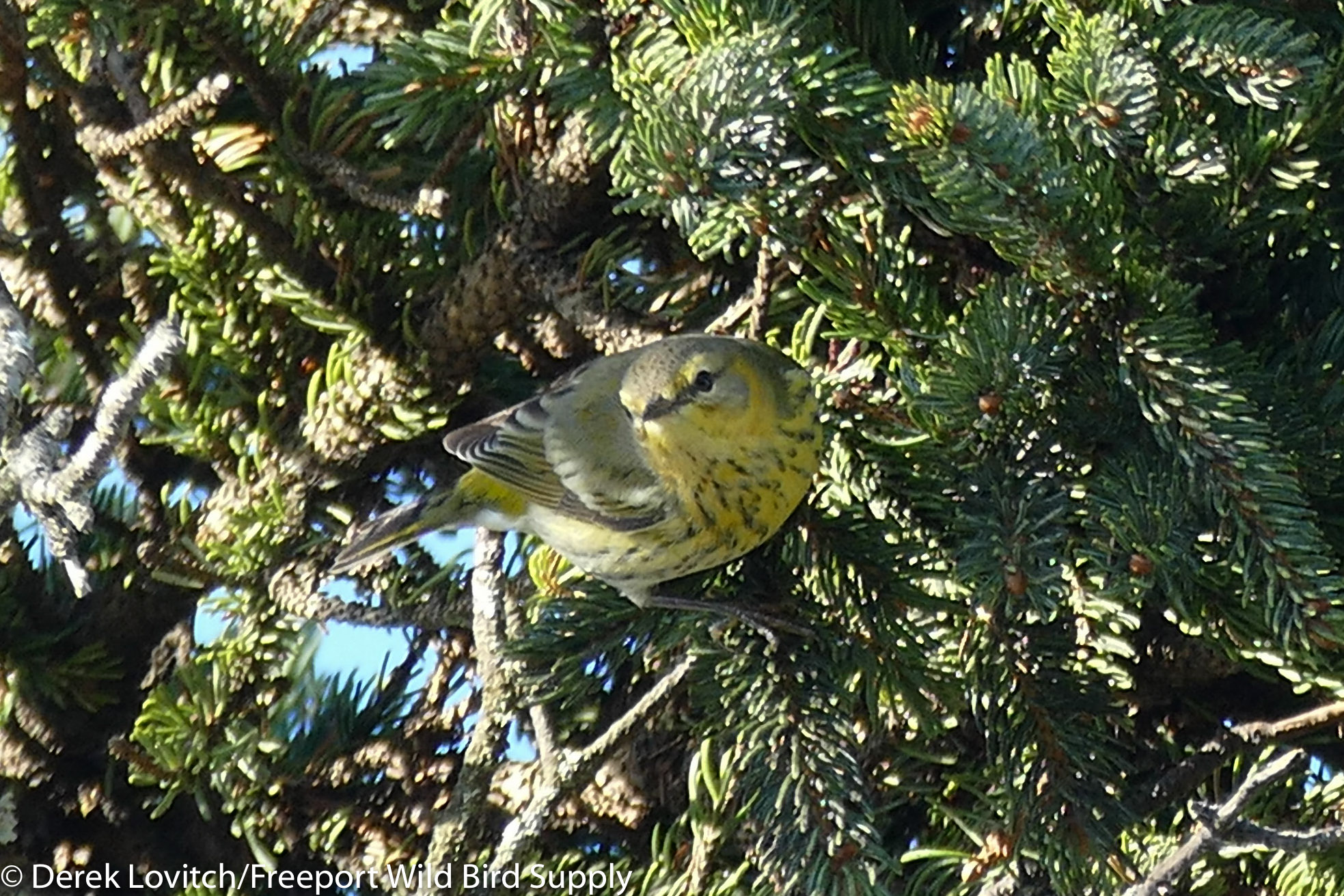 L1100837-edited-edited