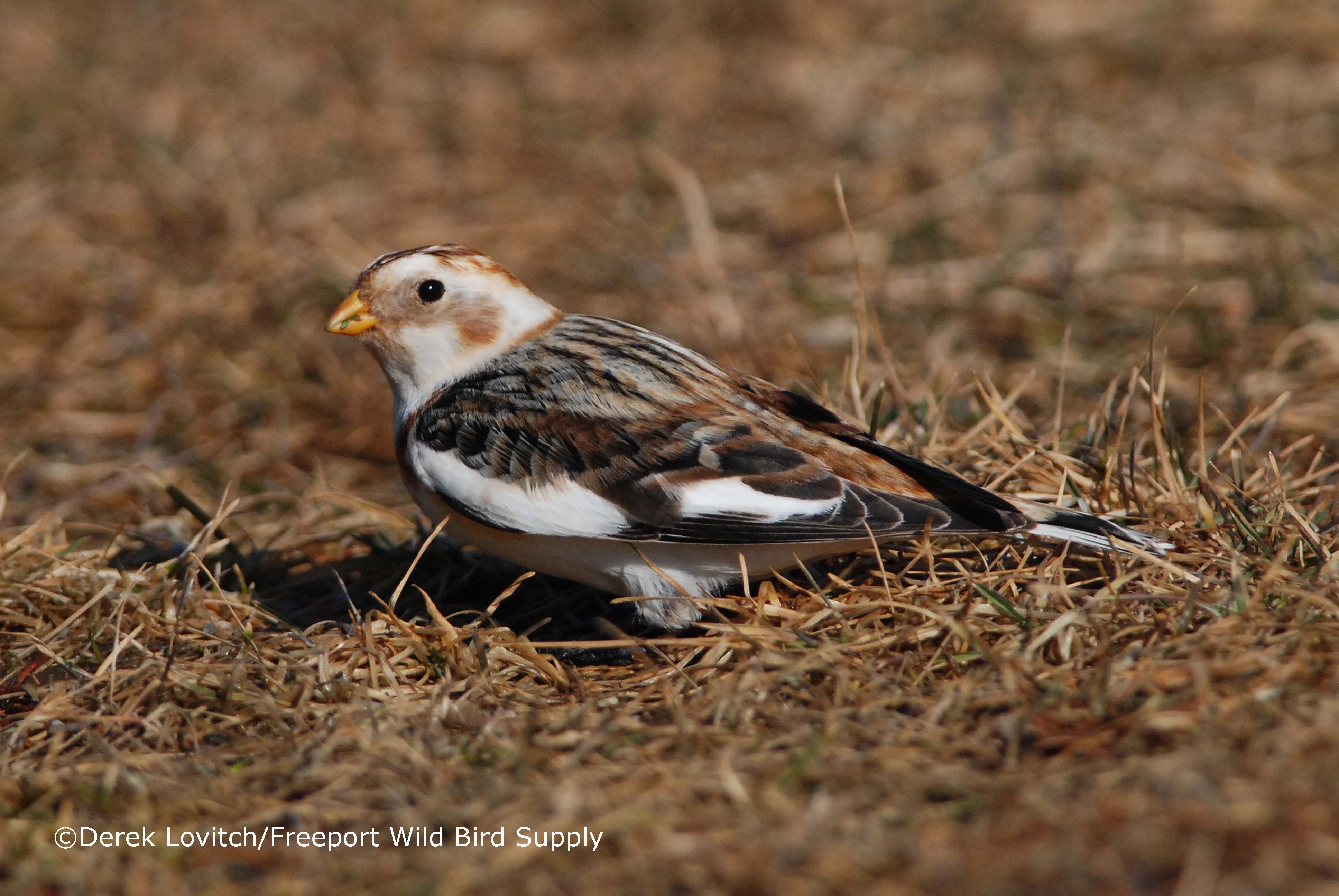Farms &amp; Fermentation_edited-1