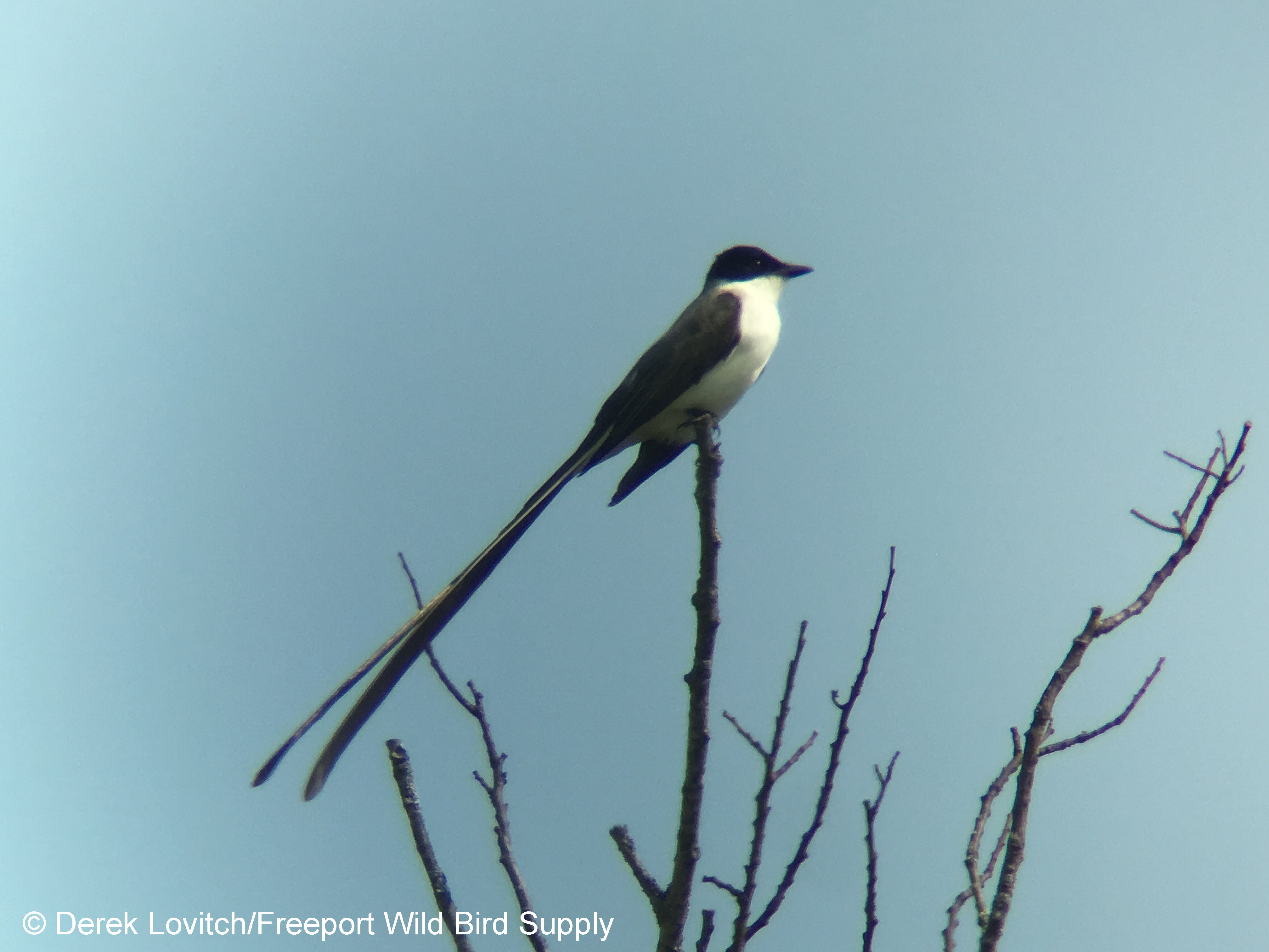 FTFL1,Gilsland,9-16_edited-1