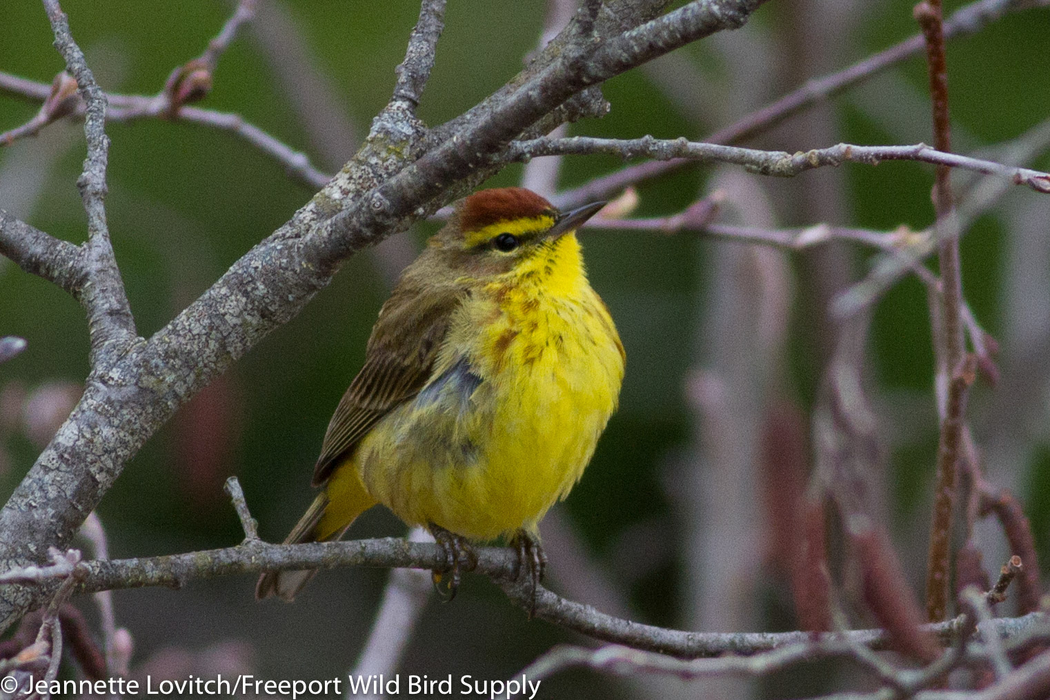 IMG_4042-edited-edited