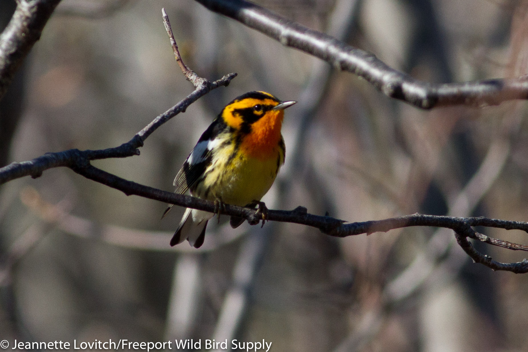 IMG_4201-edited-edited