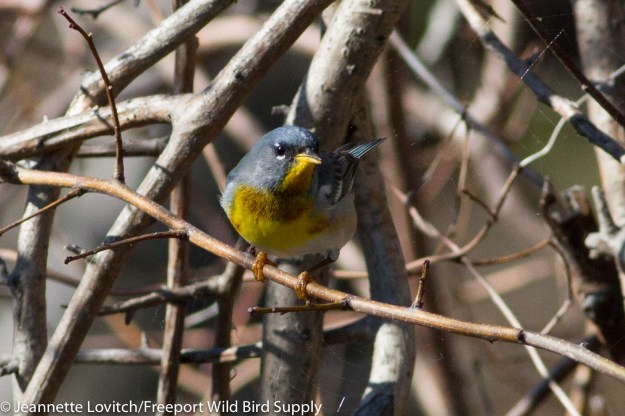 IMG_4214-edited-edited