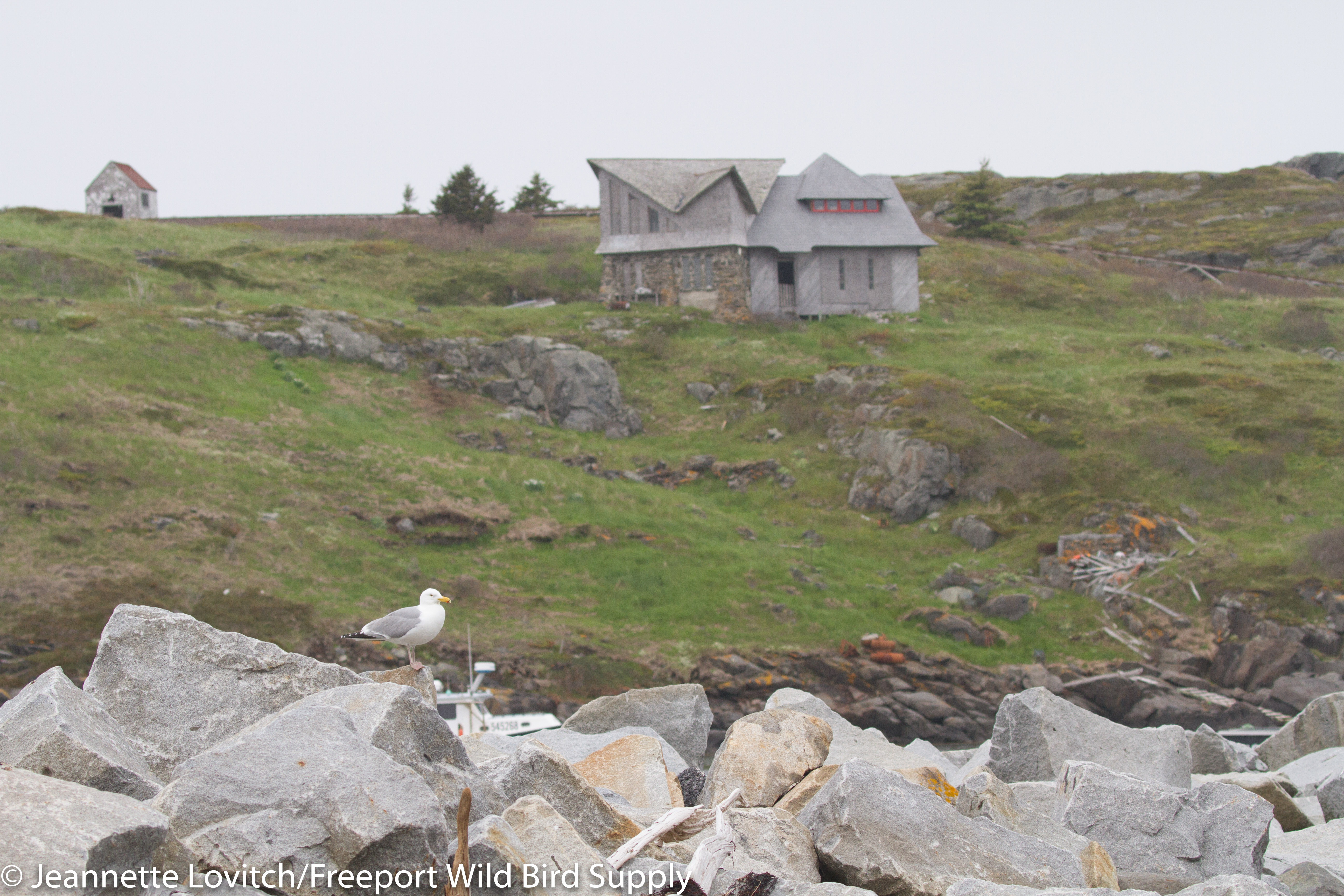 IMG_9590-edited-edited