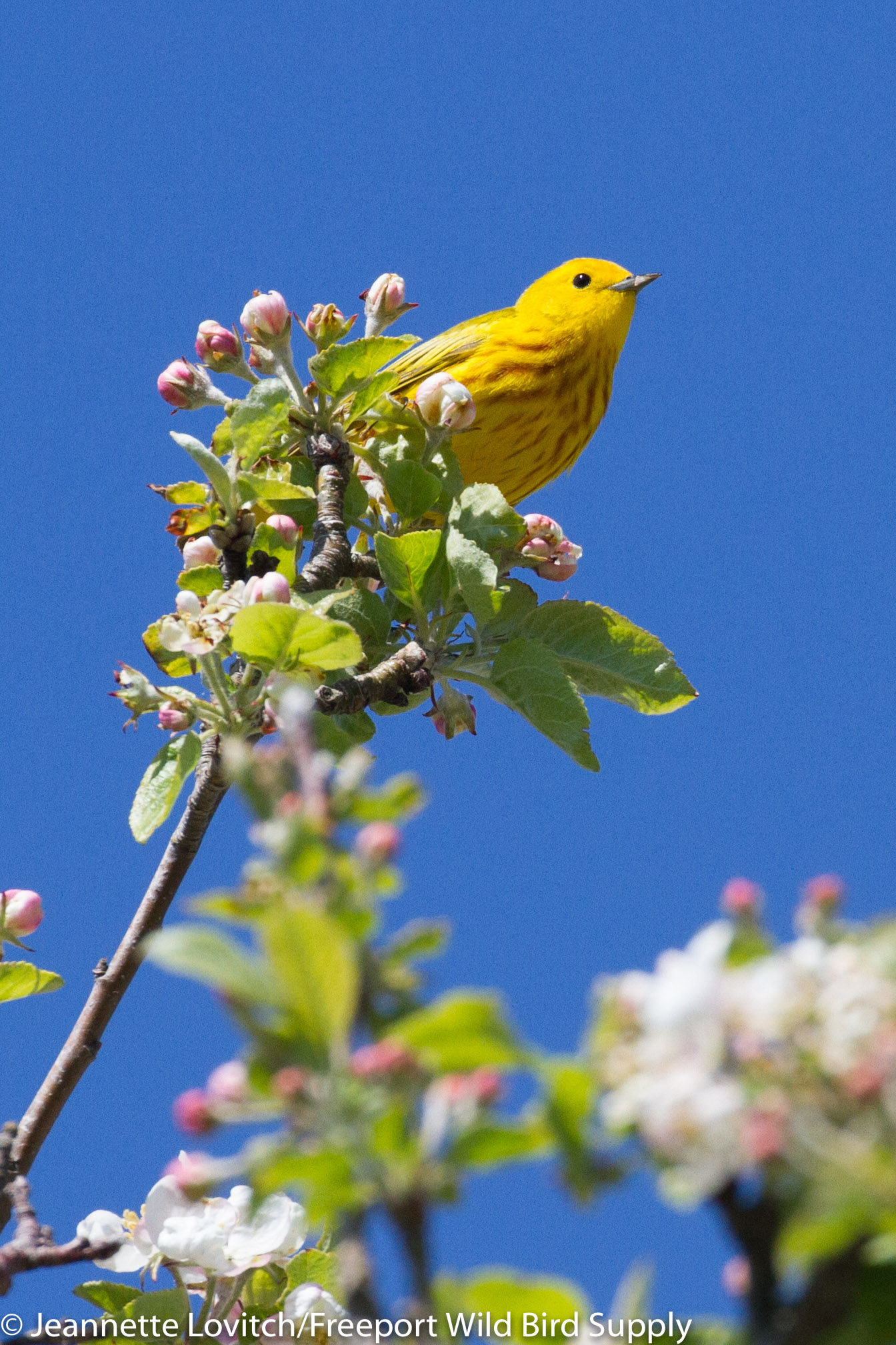 IMG_9723-edited-edited