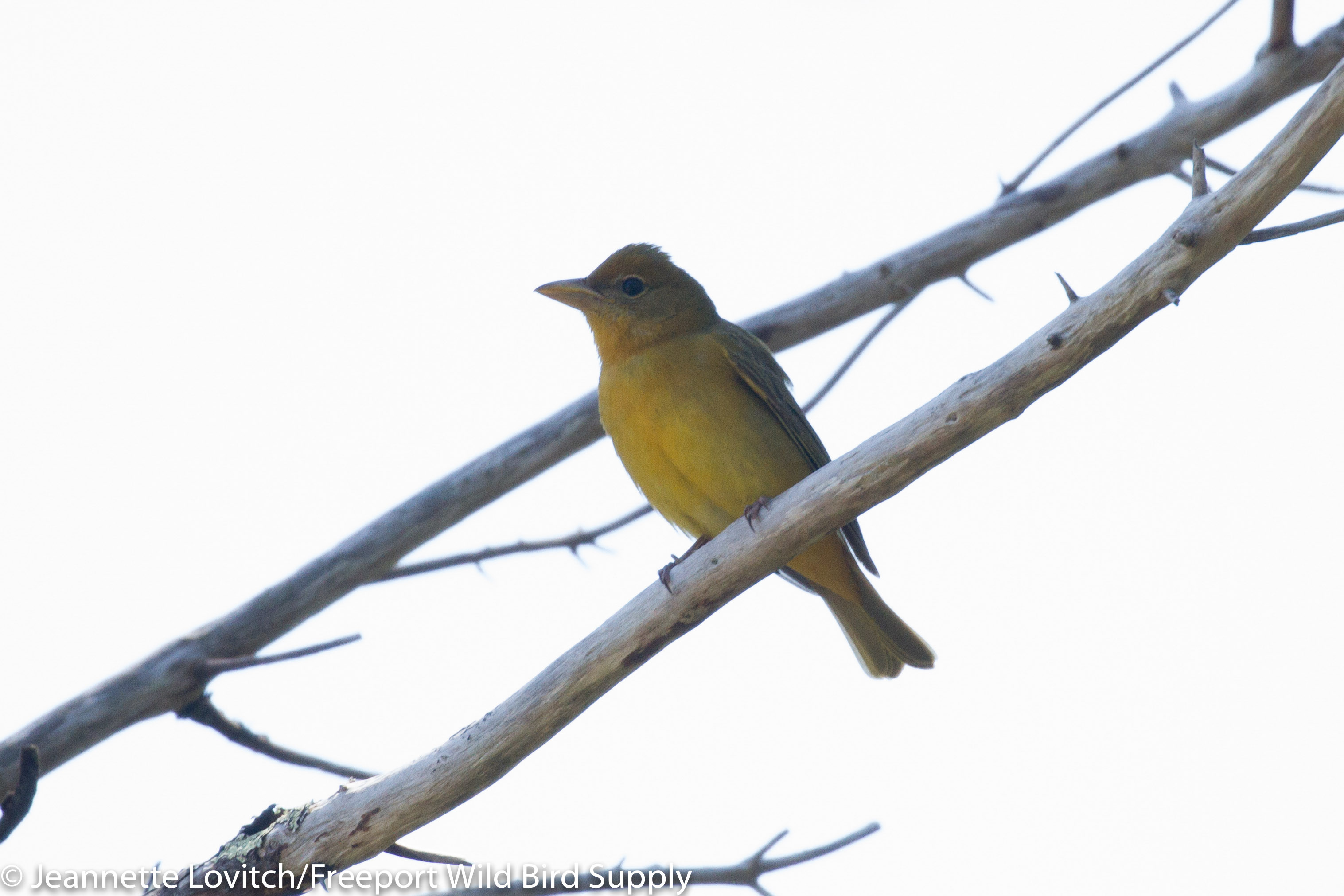 IMG_9833-edited-edited