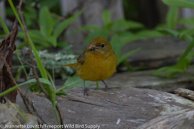 IMG_9844-edited-edited