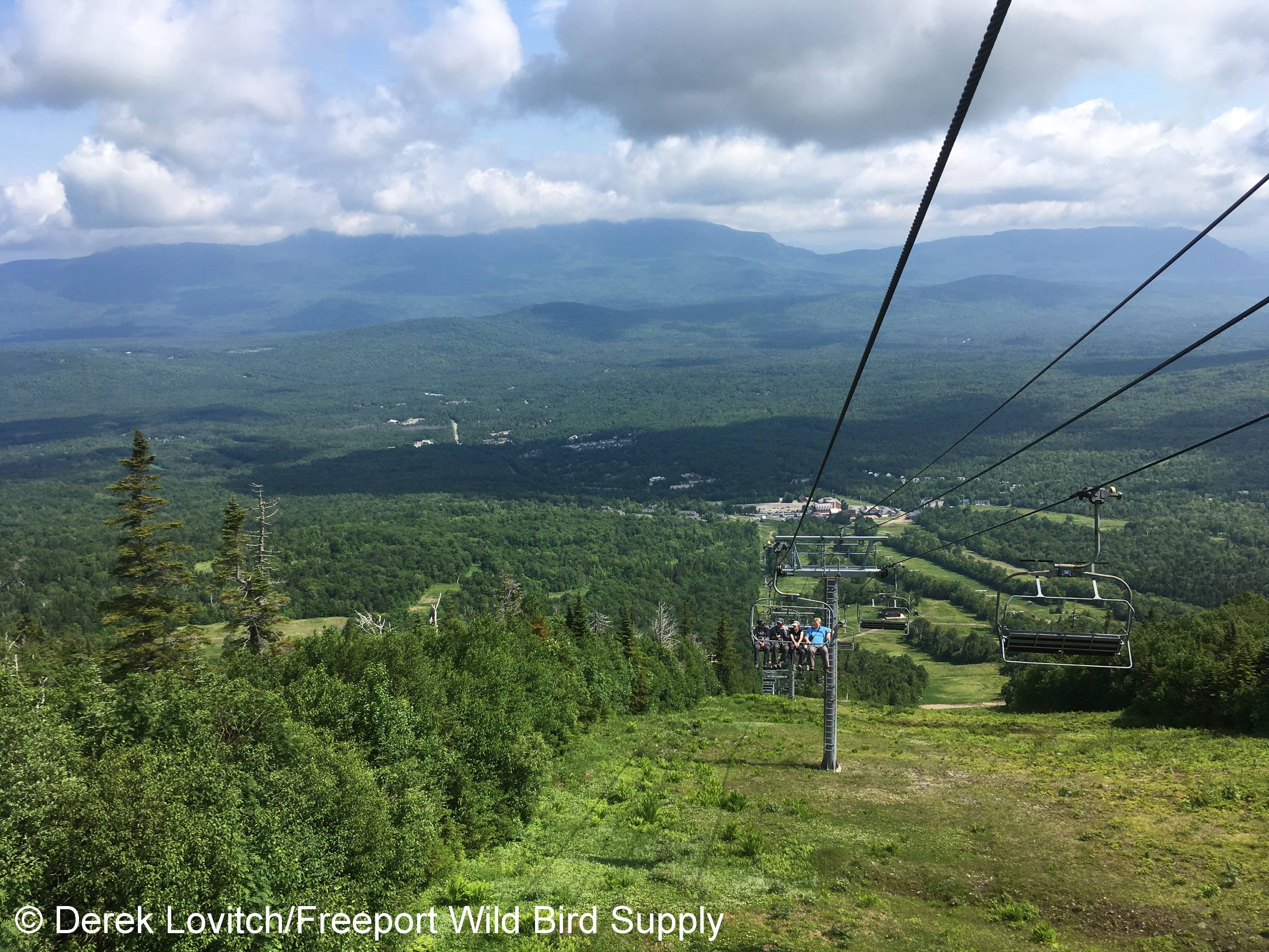 26. Chairlift1