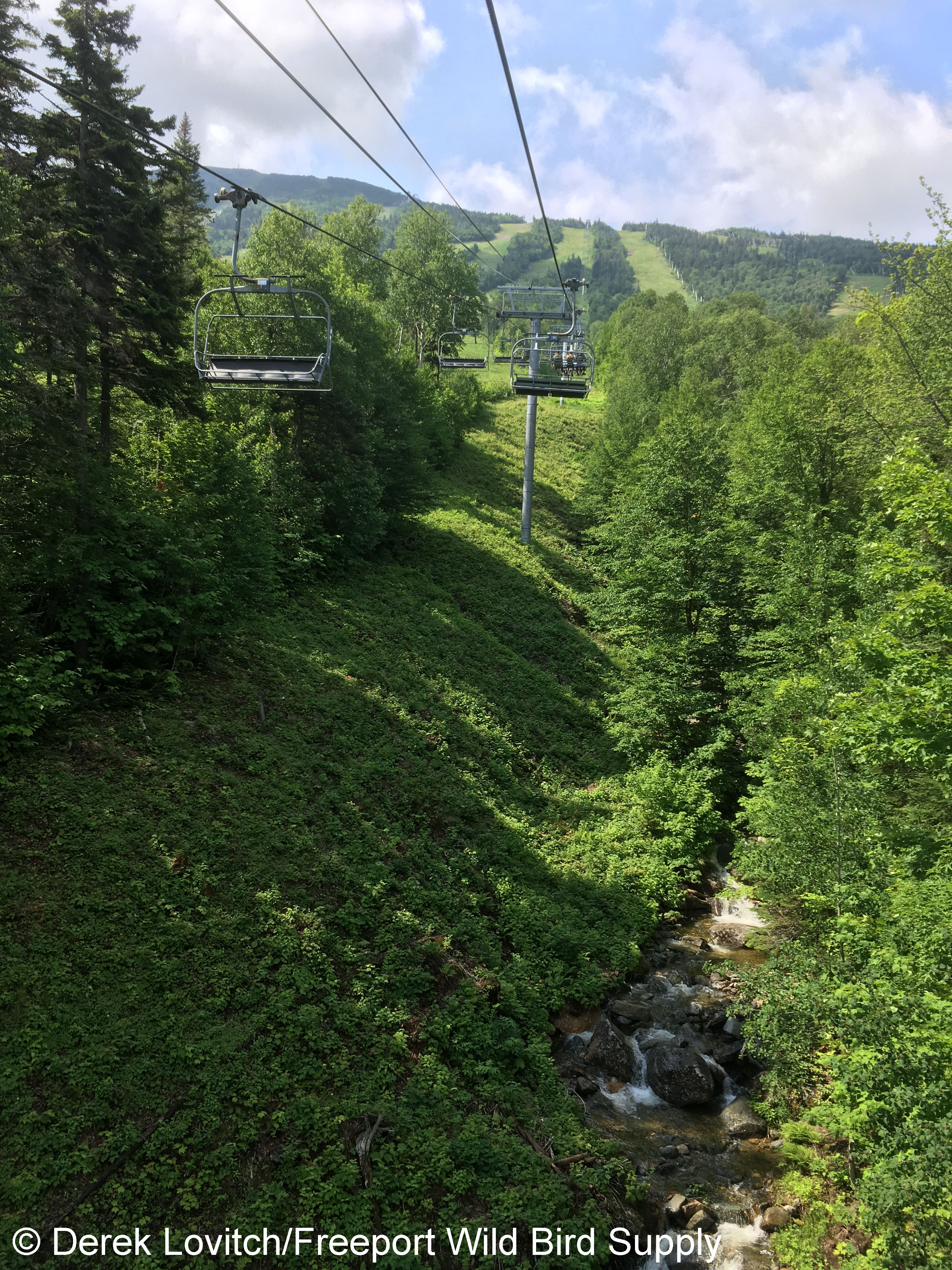 27. Chairlift2