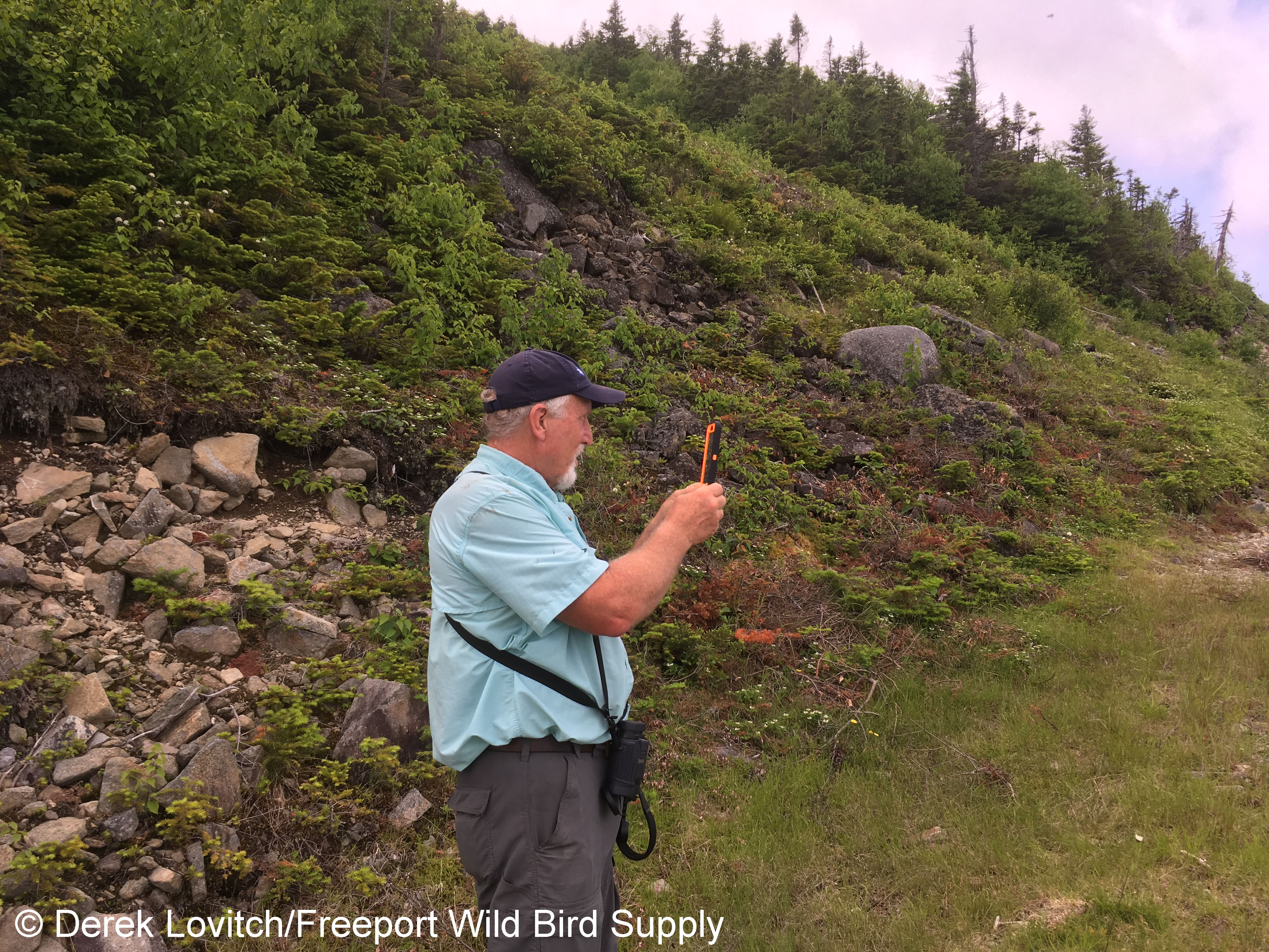 36. Greg_on_Sugarloaf